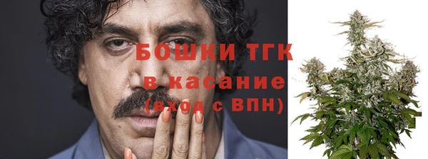 стафф Алексин