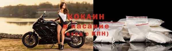 стафф Алексин