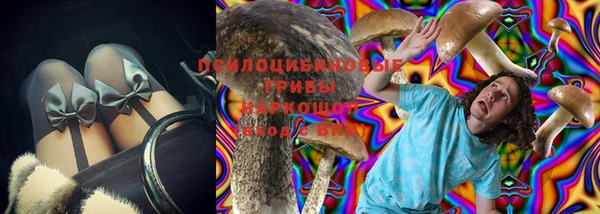 стафф Алексин